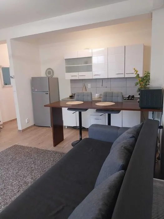 Apartament 2 Camere cu Grădină și Parcare â€“ Podu de Fier - foto 3