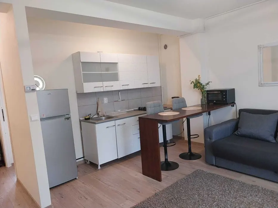 Apartament 2 Camere cu Grădină și Parcare â€“ Podu de Fier - foto 5