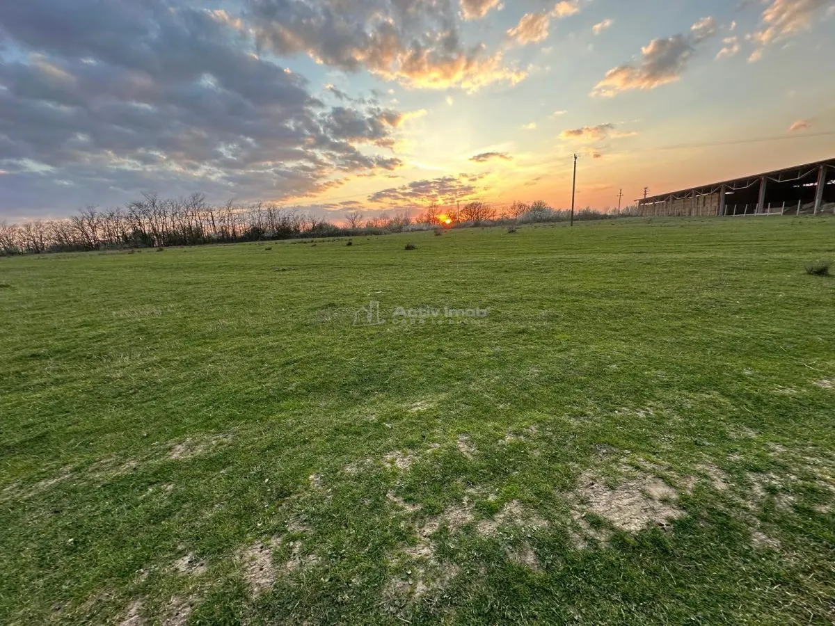 Bocsa Romana, 2 terenuri intravilan, 10.000 Mp.(59.900 Euro) si arabil, 80.000 Mp.(58000 Euro) langa Hala Transavia - foto 2