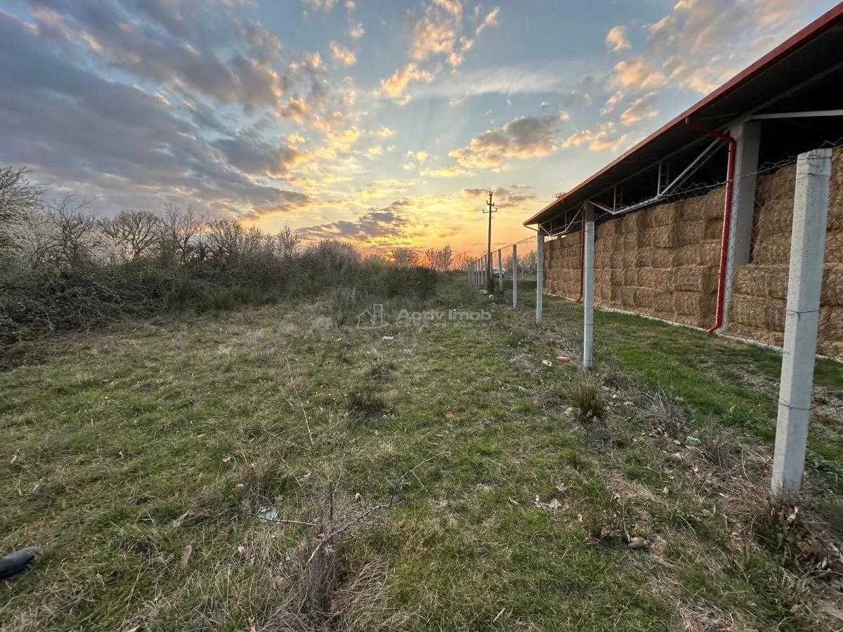 Bocsa Romana, 2 terenuri intravilan, 10.000 Mp.(59.900 Euro) si arabil, 80.000 Mp.(58000 Euro) langa Hala Transavia - foto 4