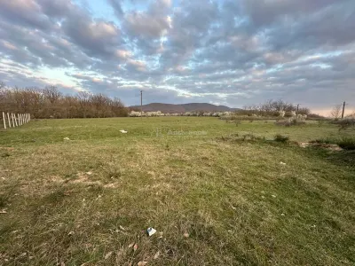 Bocsa Romana, 2 terenuri intravilan, 10.000 Mp.(59.900 Euro) si arabil, 80.000 Mp.(58000 Euro) langa Hala Transavia - foto 6