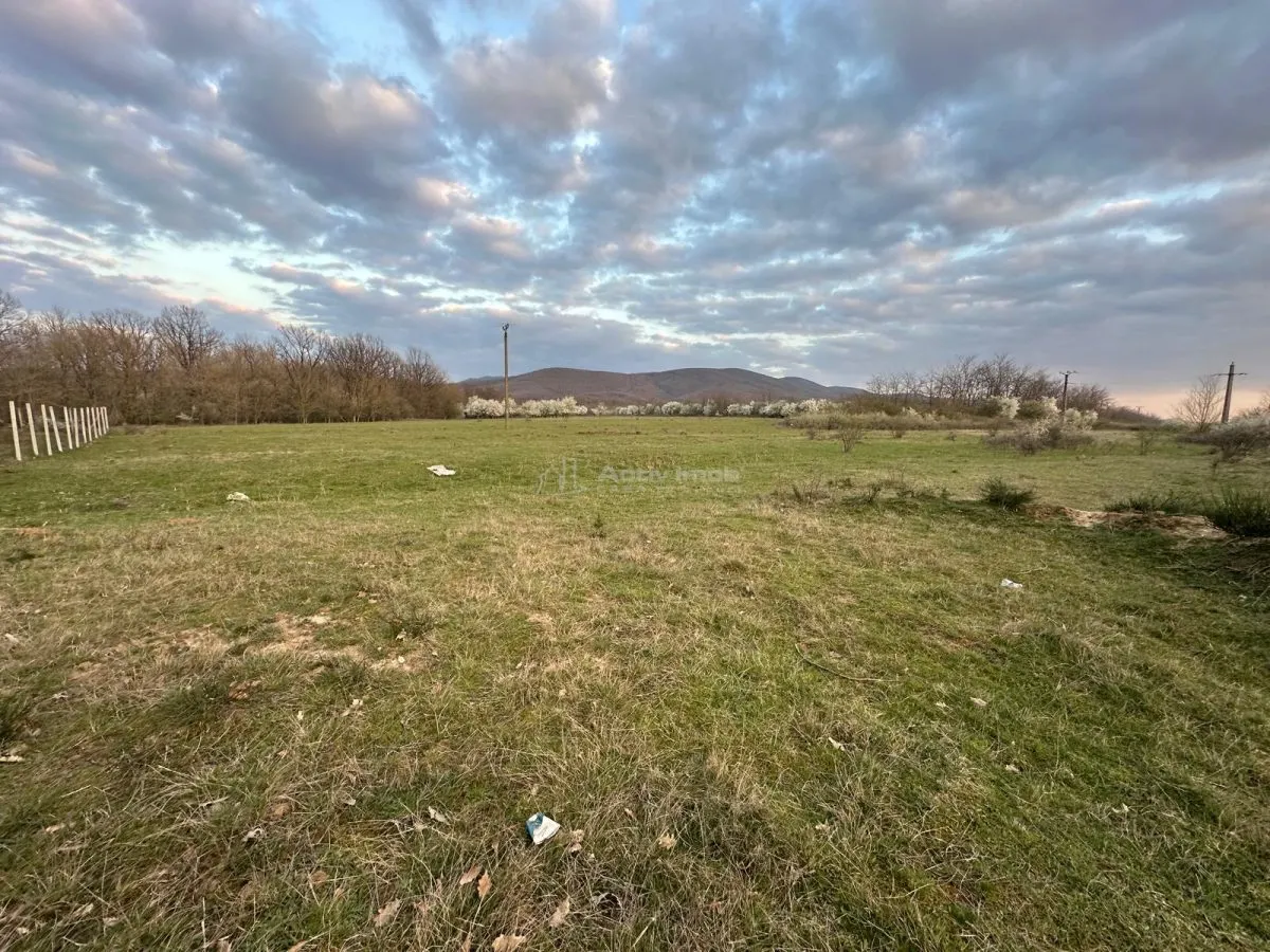 Bocsa Romana, 2 terenuri intravilan, 10.000 Mp.(59.900 Euro) si arabil, 80.000 Mp.(58000 Euro) langa Hala Transavia - foto 6