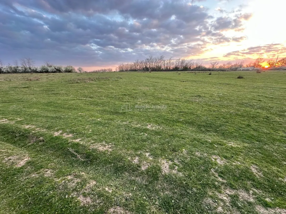 Bocsa Romana, 2 terenuri intravilan, 10.000 Mp.(59.900 Euro) si arabil, 80.000 Mp.(58000 Euro) langa Hala Transavia - foto 7
