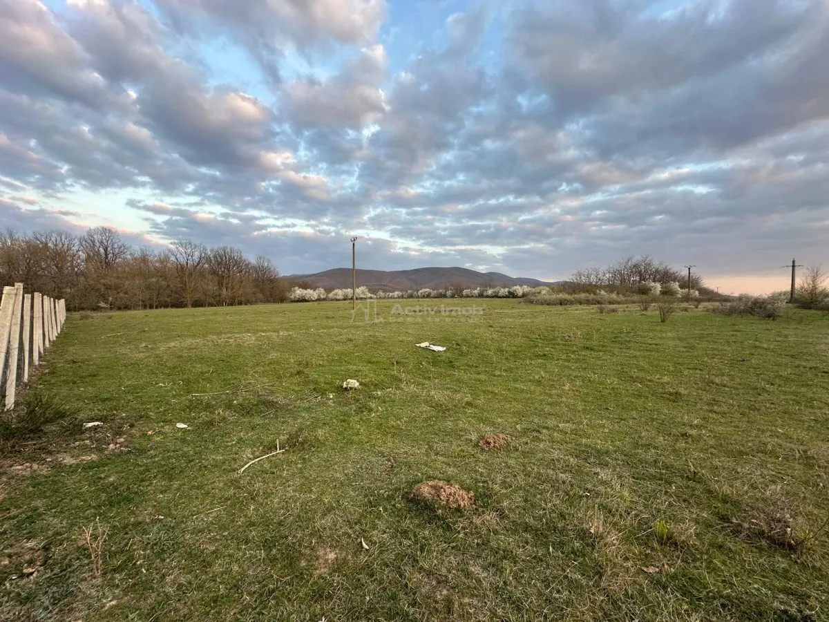 Bocsa Romana, 2 terenuri intravilan, 10.000 Mp.(59.900 Euro) si arabil, 80.000 Mp.(58000 Euro) langa Hala Transavia - foto 10