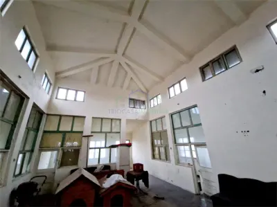 SPATIU  COMERCIAL   PIATA FILIASI  354 mp - parter+etaj - foto 7