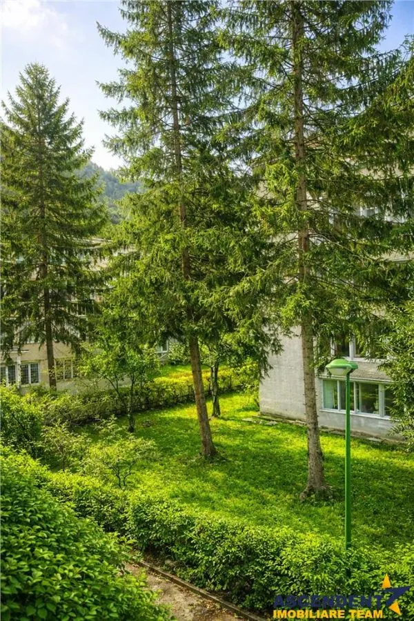 Apartament 2 camere,luminos,incadrat de liniste si verdele naturii,Ultracentral,Brasov. - foto 5