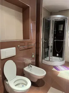 RECO Vila Lux 5 camere + teren mare în Sanmartin - foto 13