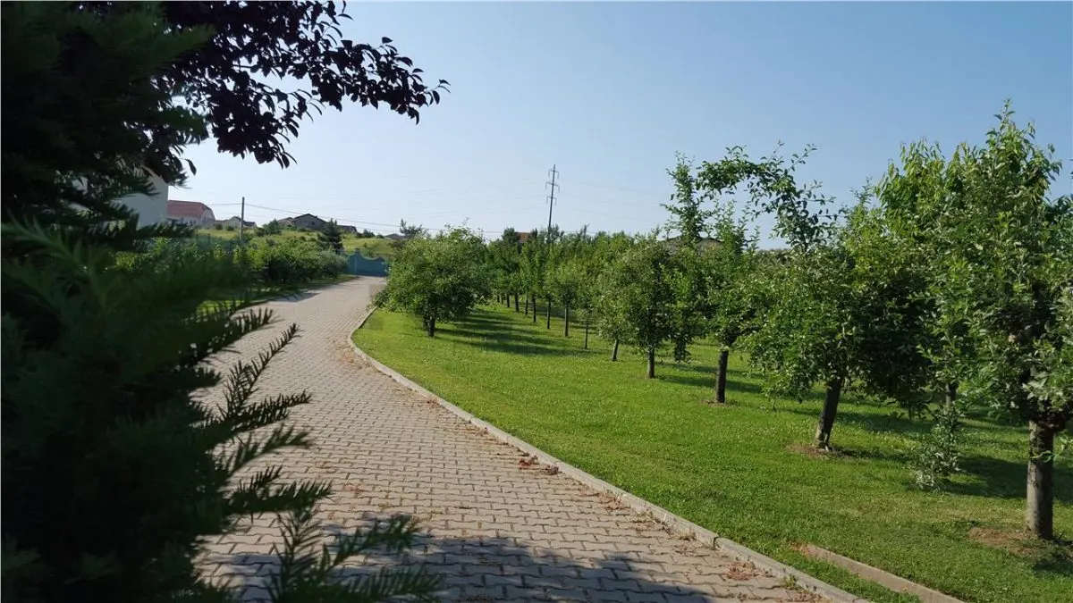 RECO Vila Lux 5 camere + teren mare în Sanmartin - foto 3