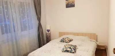 Apartament 2 camere Centrul Civic -CEC Bank,parter,99900 Euro neg - foto 3