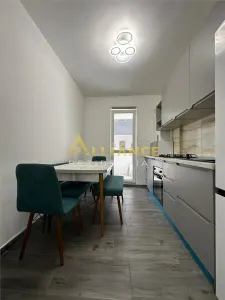 Apartament 2 camere si gradina Biruintei - foto 6