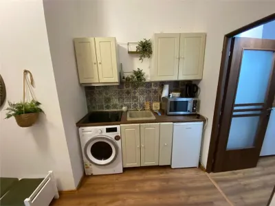 ULTRACENTRAL - 1 Camera  - Perfect pentru investitie - Centrala termica - foto 5