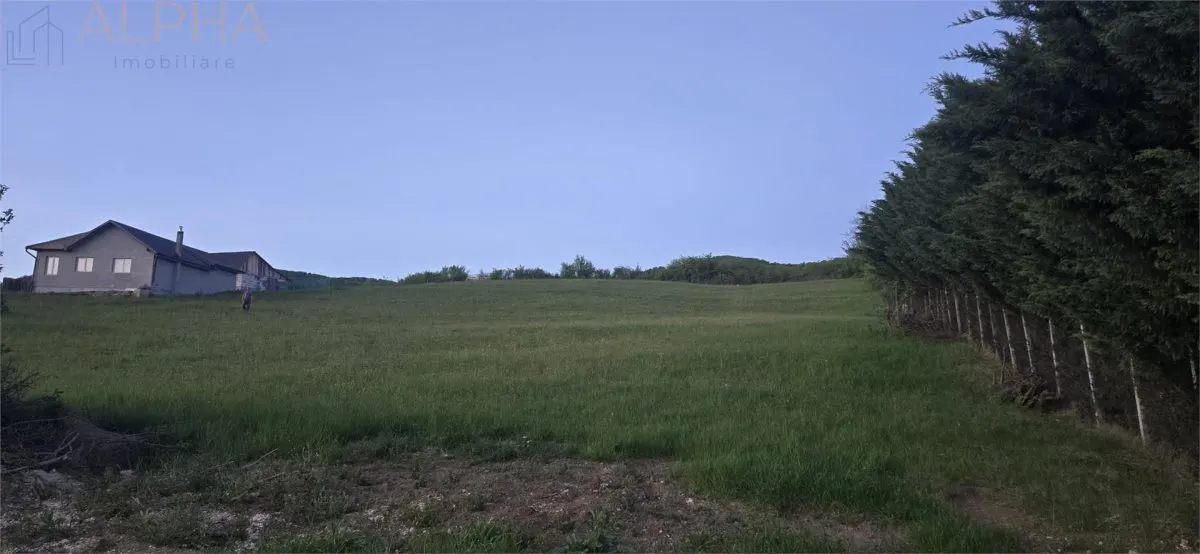Teren intravilan de vanzare â€“ 50 ari â€“ Crainimat â€“ deschidere 50 ml la DN17 - foto 4