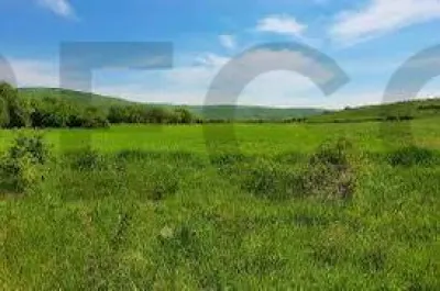 ReCO Teren extravilan in Dragesti spre Stracos 7200mp - Dragesti