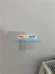 Casa comuna Joita sat Joita 105.000 Euro negociabil - foto 10
