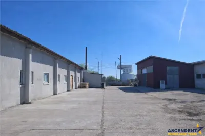 Hala industriala versatila,spatii cazare, platforma betonata,Halchiu,Brasov - Brasov