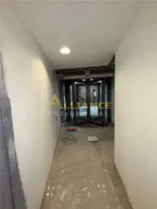 Spatiu Comercial - Parcul carol - foto 4