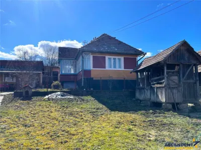 3D! Locuinta traditionala + 4300 mp teren,pomicultura,anexe:oaza de liniste,Craiesti,Mures - foto 11