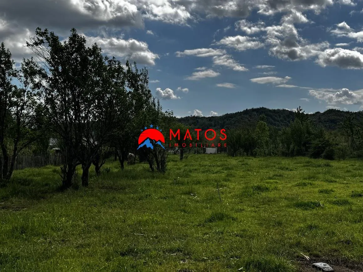 Teren construibil 5.164 mp | Brebu Megiesesc, Prahova | Dublu acces | 145.000 Euro - foto 1