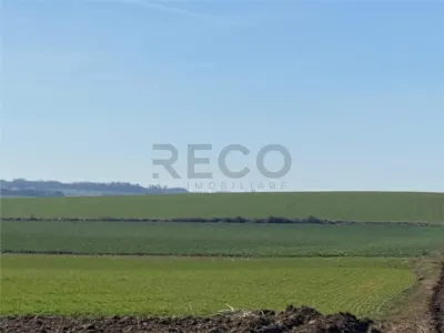 RECO Teren  pentru investitie  4ha Tauteu-Zona Autostrazii Transilvania - Tauteu
