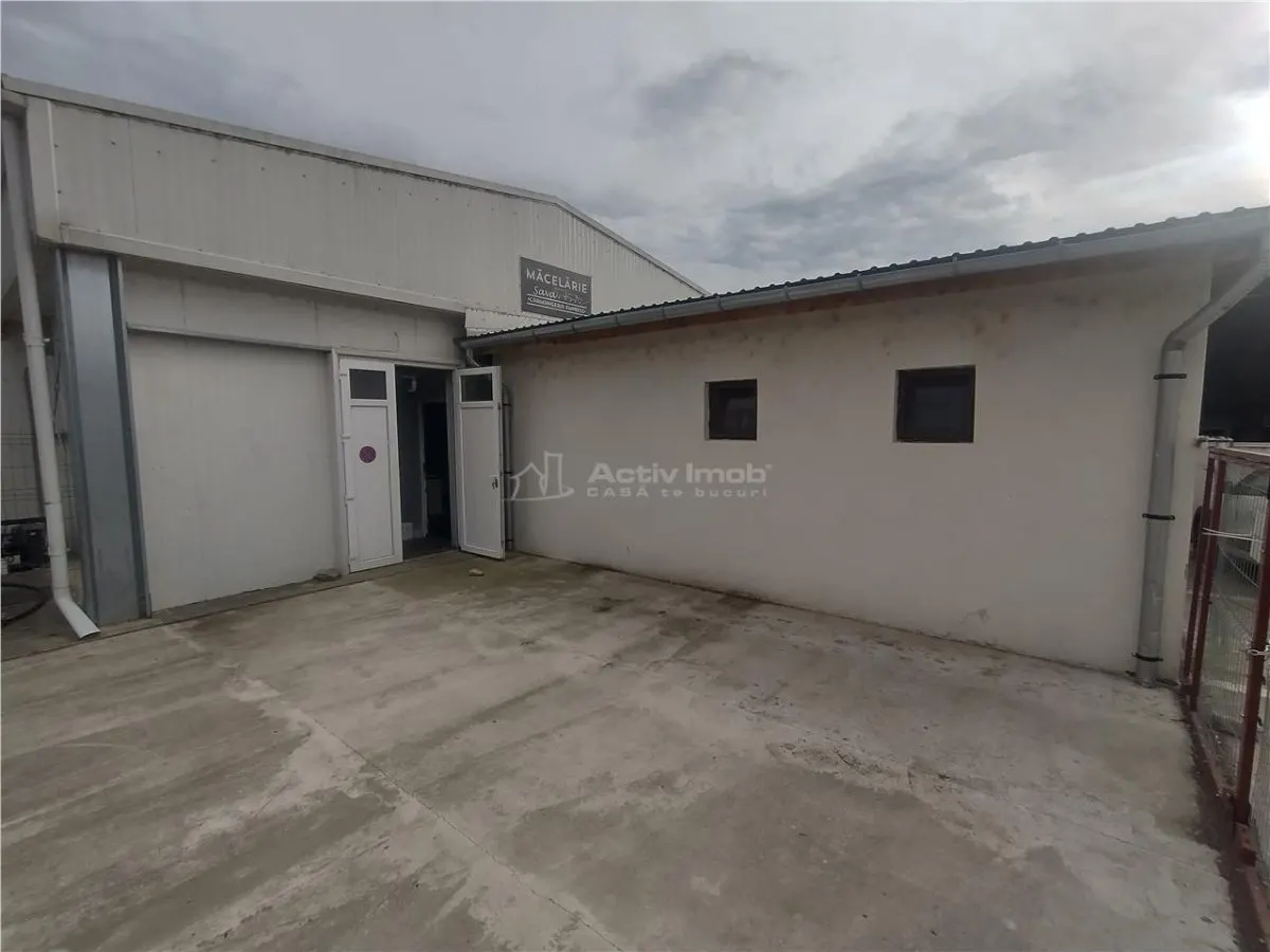 Moldova Noua, Spatiu Comercial - Macelarie, Utilata, Vanzare sau Inchiriere - foto 12