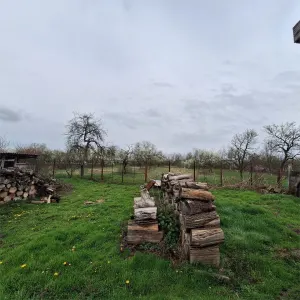 Casa cu Gradina si Teren, 4636 MP. Ghertenis - foto 23