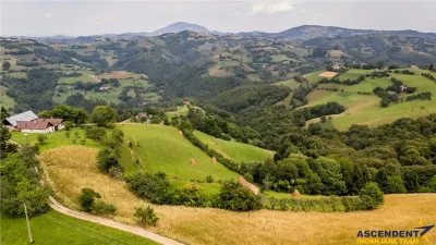 FILM! Cu view panoramic la 360 grade, teren 10.335 mp, Poiana Marului - foto 3