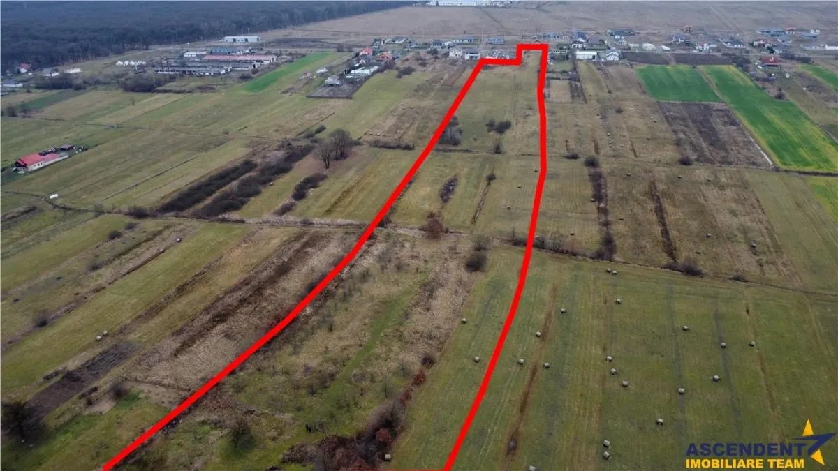 FILM!22.300 mp,activ imobiliar cu valoare adaugata:turism,wellness,rezidential, Solovastru,Mures - foto 4
