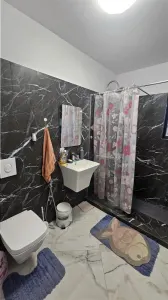 Popesti-Leordeni, Vila individuala cu piscina, mobilata-utilata modern, disponibila imediat - foto 11