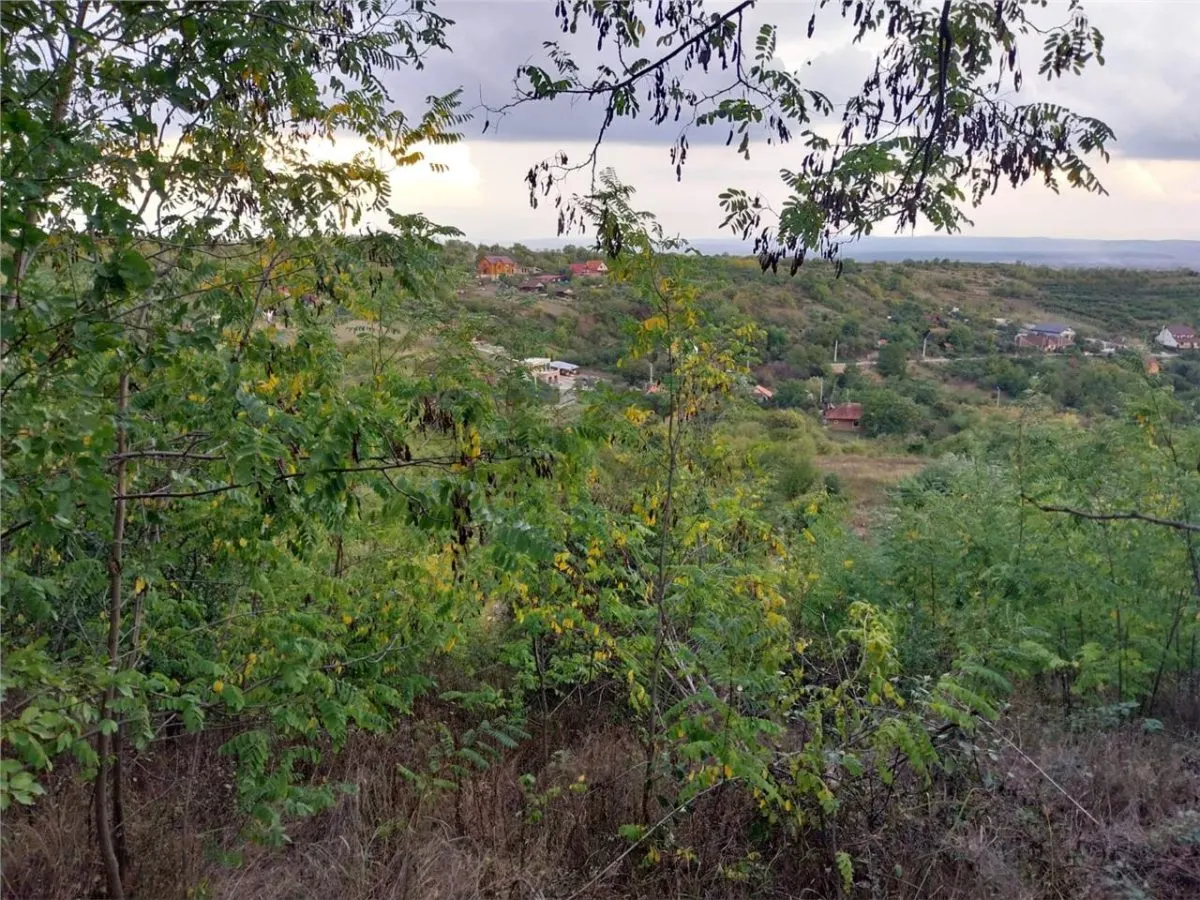 RECO Teren cu panorama 2350mp Podgoria - foto 1