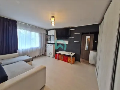 Apartament 2 camere Asta, etajul 2, Brasov - foto 7