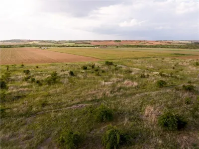 RECO Teren de vanzare Paleu - foto 8