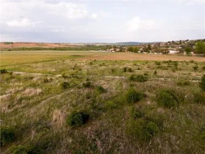RECO Teren de vanzare Paleu - foto 9