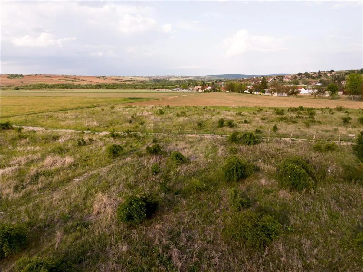 RECO Teren de vanzare Paleu - foto 9