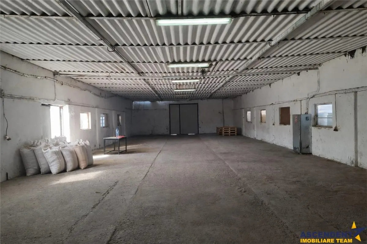 Hala versatila,spatii cazare, platforma betonata,1.150 mp teren,Halchiu,Brasov - foto 10