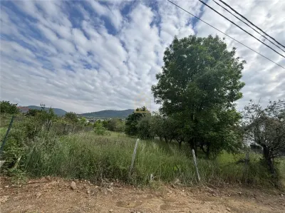 Teren de vanzare strada Branduselor - foto 6