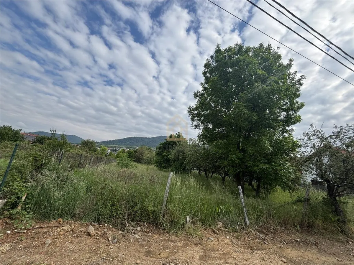 Teren de vanzare strada Branduselor - foto 6