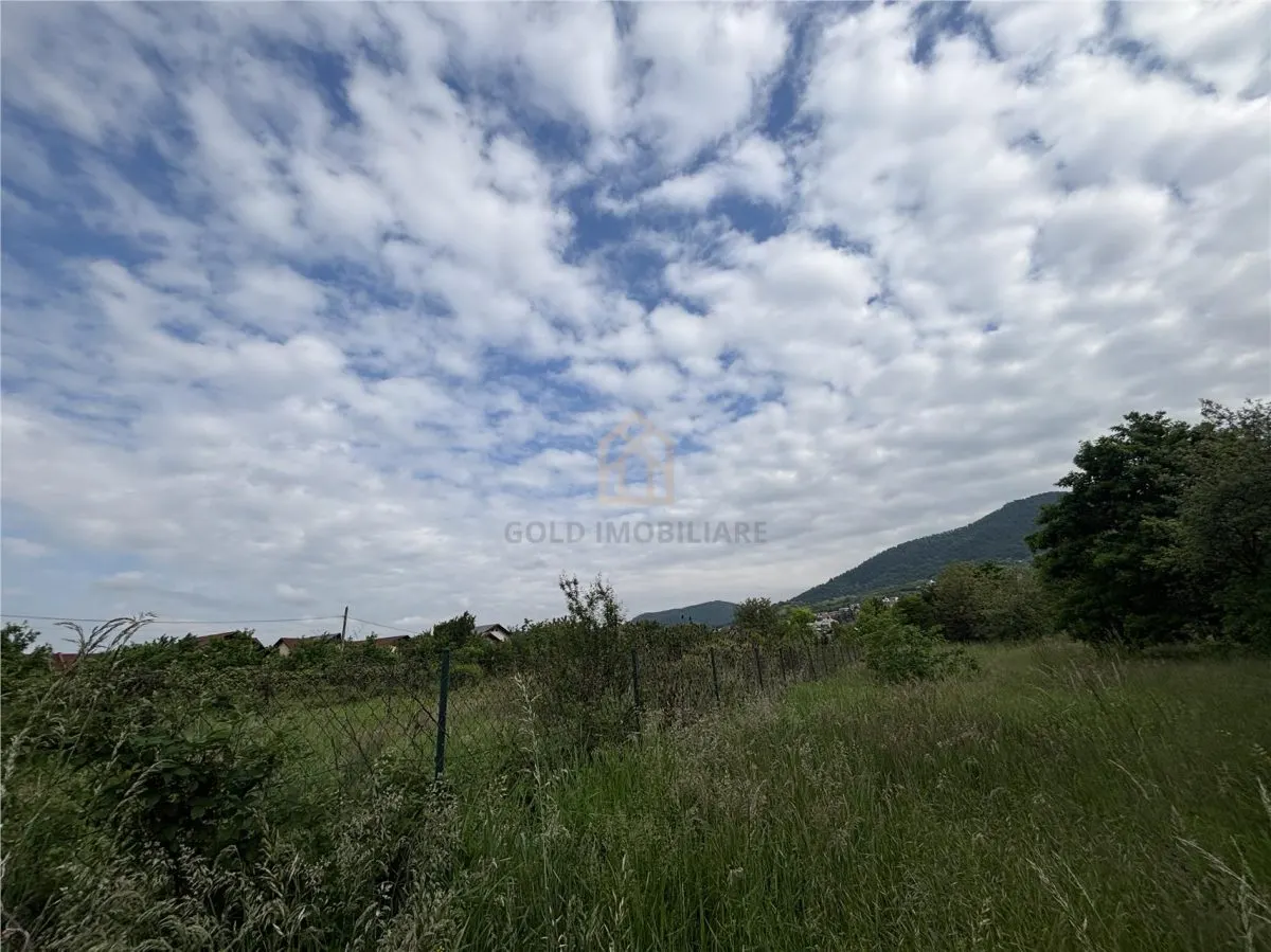 Teren de vanzare strada Branduselor - foto 7