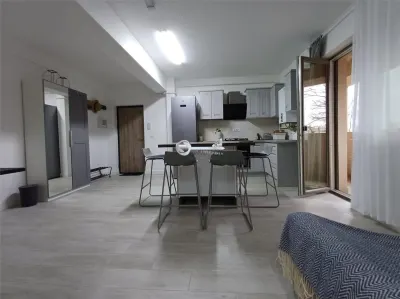 Apartament 2 camere, prima chirie, parcare și 2 balcoane â€“ Tătărași - foto 2
