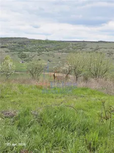 Loturi de teren Aroneanu sat Dorobant - foto 1