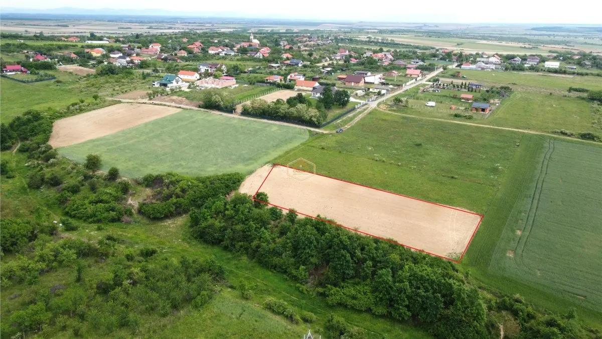 Teren intravilan 2.935 mp in Viile Satu Mare | Aproape de padure - foto 1