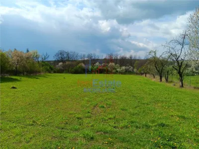 Badeni com Scobinti  Iasi Teren 3000mp  parcelabil deschidere mare toate utilitatile - foto 5