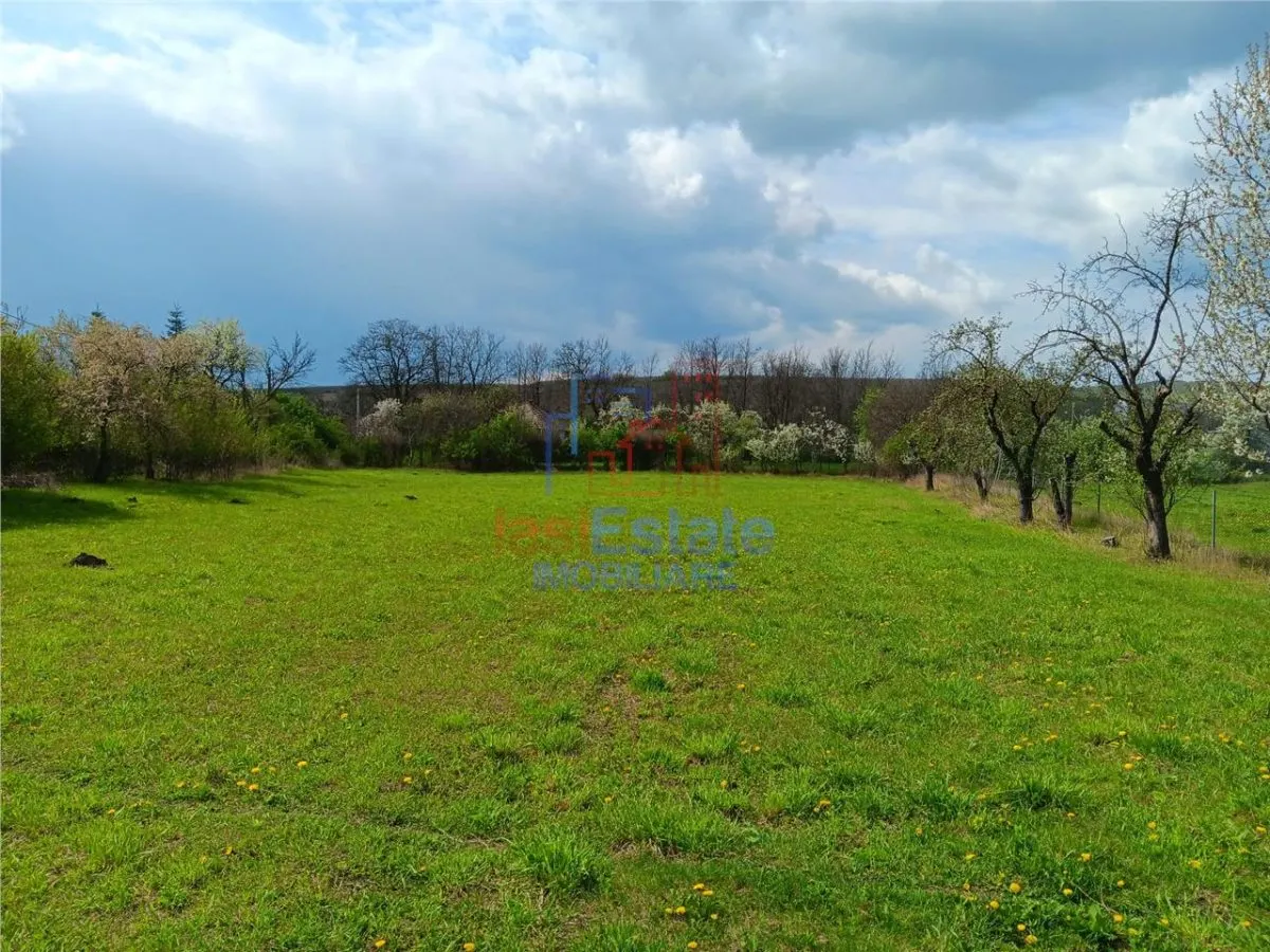 Badeni com Scobinti  Iasi Teren 3000mp  parcelabil deschidere mare toate utilitatile - foto 5