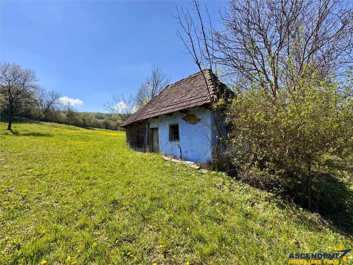 Casa traditionala,zona pitoreasca,domeniu de 3.400 mp,Suveica,Acatari,Mures - foto 19