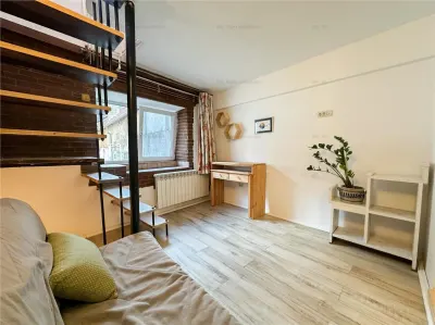 Proprietate deosebita | Gradina proprie | Priveliste | Central | Pet Friendly - foto 6