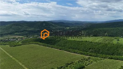 Teren extravilan-arabil zona Mierea - foto 1