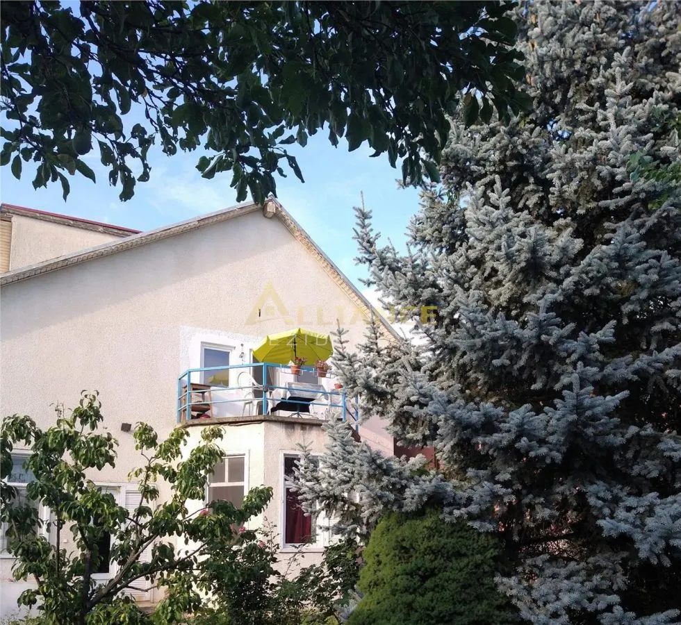 CASA INDIVIDUALA - SOSEAUA OLTENITEI - 1500 MP TEREN - foto 18
