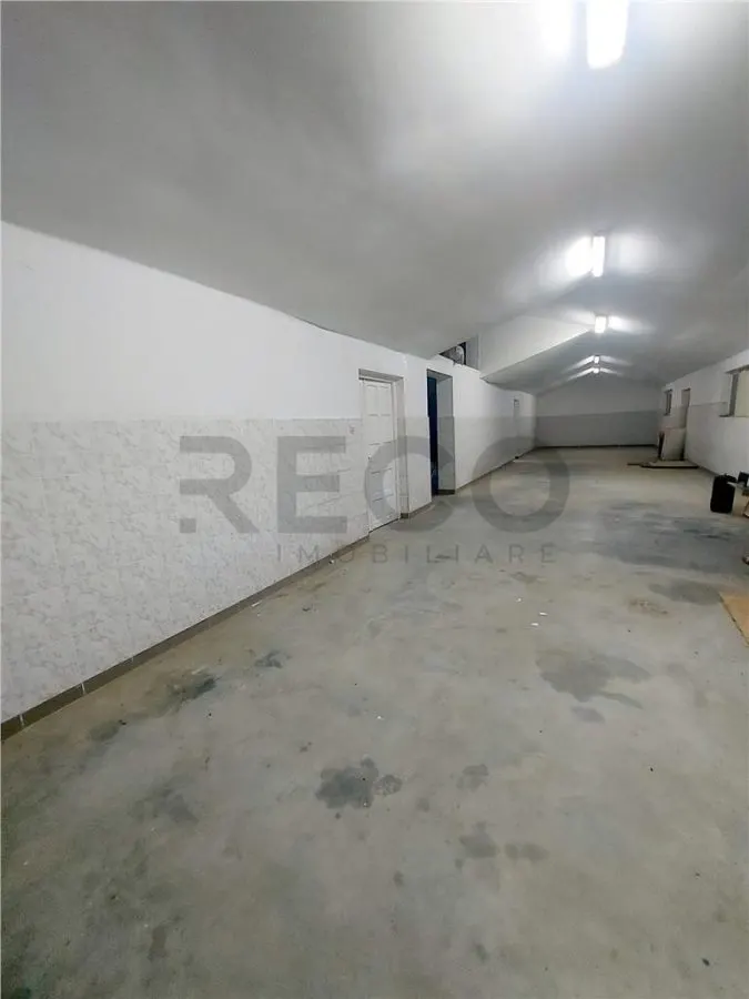RECO Pensiune / azil cu 2 etaje si hala mare in Ineu de Cris - foto 23