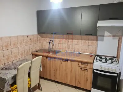 Apartament 2 Camere Podu Ros - Piata Nicolina - foto 4