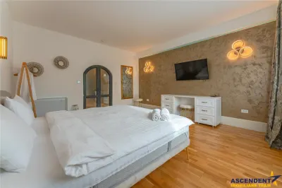 FILM& 3D! Vila high tech, cu semineu, jacuzzi, terasa, 7 camere, Central, Brasov - foto 3