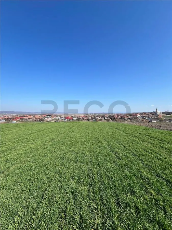 RECO Teren extravilan, zona Cheriu, 5375 mp, utilitati in zona, cu posibilitate e trecere in intravilan - foto 5